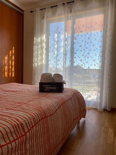Anjo Flat, Quinta do Anjo (foto 8)