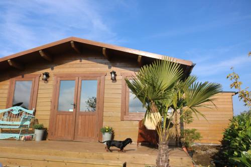 The Cabin Pipershill - Drum