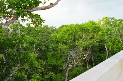 Melaan Jungle Retreat for Adventurers and private plunge pool in Tulum, Mexico