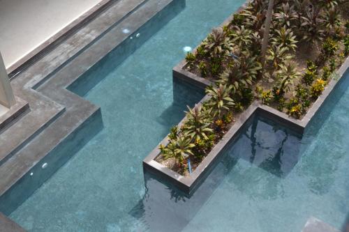 Melaan Jungle Retreat for Adventurers and private plunge pool in Tulum, Mexico