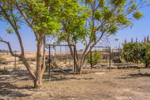 Riad Elaissi Riad Elaissi