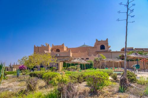 Riad Elaissi Riad Elaissi