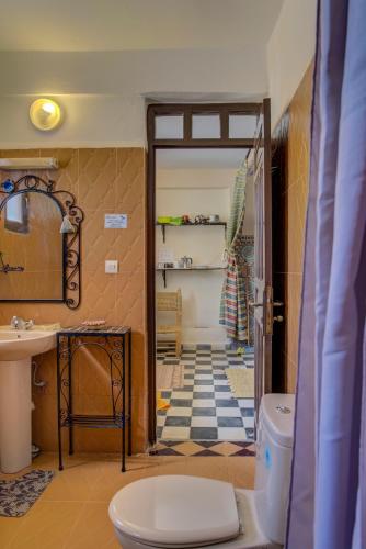 Riad Elaissi Riad Elaissi