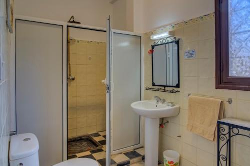 Riad Elaissi Riad Elaissi