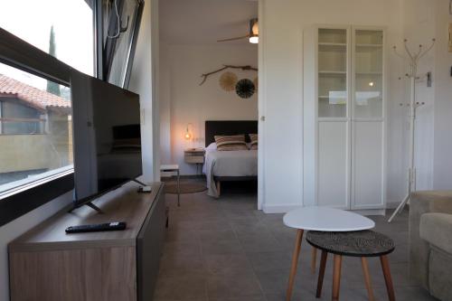 Közös társalgó / TV, Apartament Anna a Salàs (Apartament Anna a Salas) in Salàs de Pallars