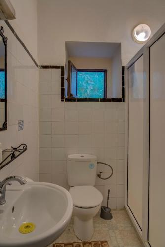 Riad Elaissi Riad Elaissi