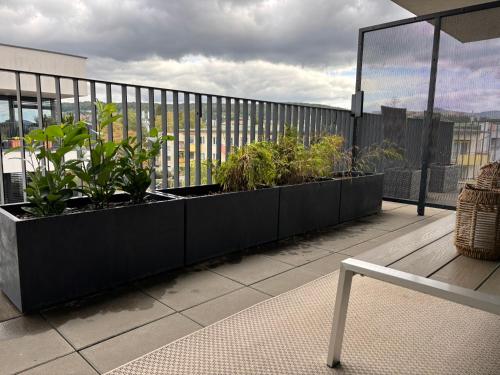 Apartmán golf Karpatská