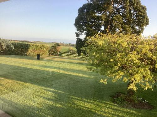 Robyn's Nest in Waitara