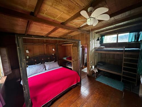 1 king bed, 2 twin beds