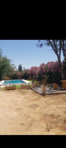 สวน, Lo Conseguí (Lo Consegui) in เบนาคาซอน