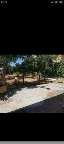 สภาพแวดล้อมโดยรอบ, Lo Conseguí (Lo Consegui) in เบนาคาซอน