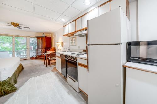 Efficiency Studio Condo near Chautauqua Lake! - image 7