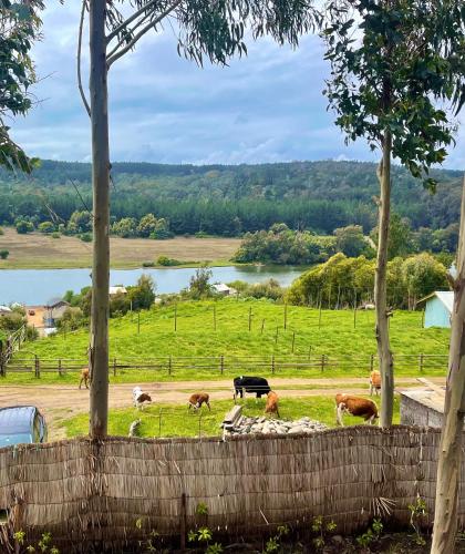 Minicasa en Llico in Vichuquen