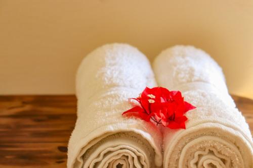 El Cabrero by Alohouse -Apartamentos en David