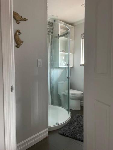 Cheerful exclusively whole house 3bedroom 3bath in Surrey, Canada