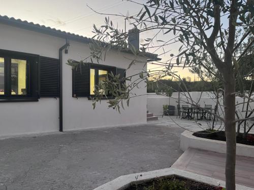 Piquillo 20 Piquillo 20