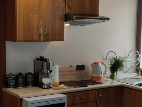 Apartament Owieczka, Zakopane (fotografie 7)