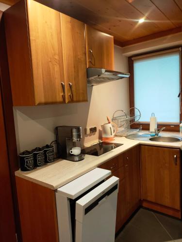 Apartament Owieczka, Zakopane (fotografie 10)
