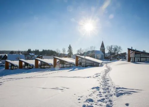 Villas Winterberg mit Private Sauna und Ski in Ski out in Winterberg, Deutschland