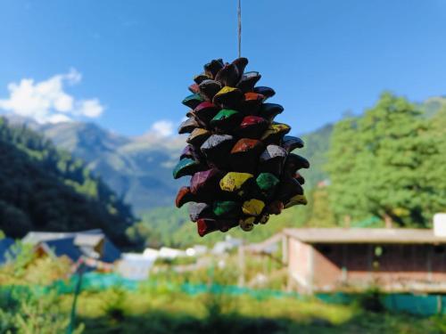 Tosh Heights Cottages - THC Tosh Heights Cottages - THC