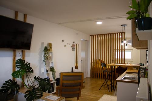 Poppqi's home in Polzela