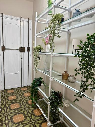 B&B Rainforest 4
