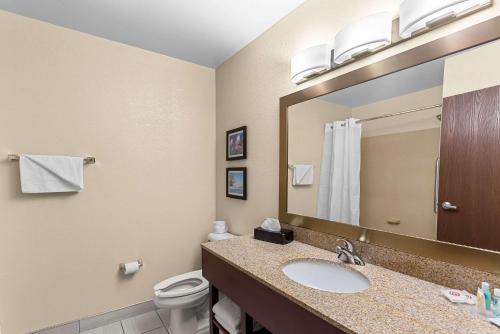 Comfort Suites Grayslake - image 2