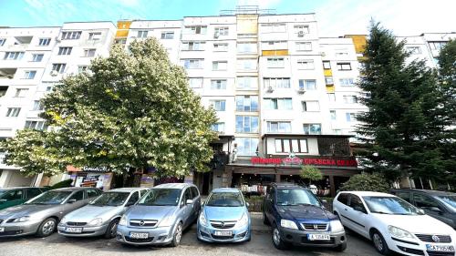 AGIA 2 - cozy one room apartment, Sofia (photo 10)