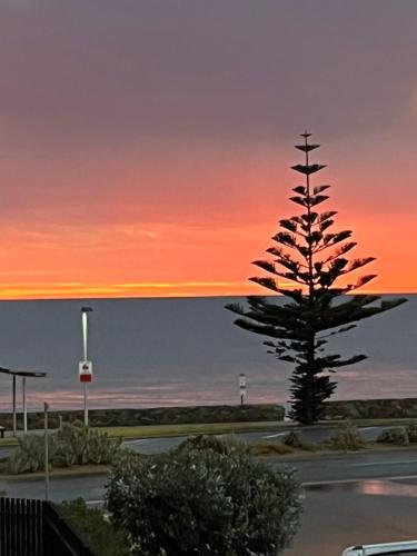 Moana Seaside Retreat - 2 Bedroom, spa , living area & pet friendly