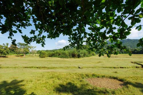 Apkārtne, Birds Island Ayur-Yoga Retreat in Njayappilly
