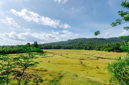 Apkārtne, Birds Island Ayur-Yoga Retreat in Njayappilly