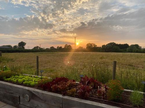 The Dinton Hermit - Tap to explore photos
