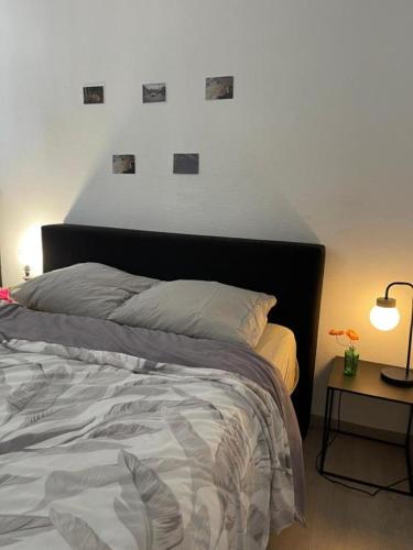 Beautiful Big Apartment in Central Antwerp