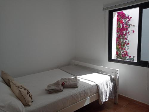 Casa Mocan