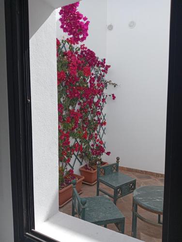 Casa Mocan