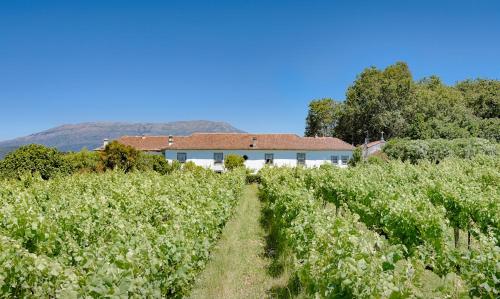 Paço de Lanheses - Turismo de Habitação chambre d'hôte Barco