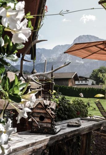 Hotel Ehrwalderhof - image 9