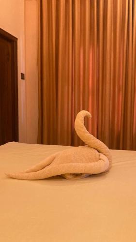 Double Room image 6