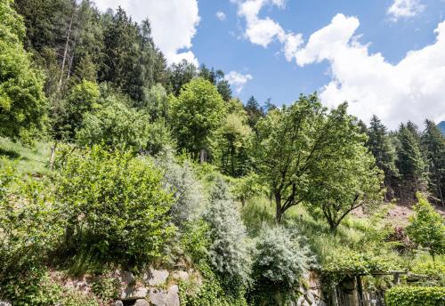 Naturresidenz Mair Zu Hof - Apartment - Campo Tures