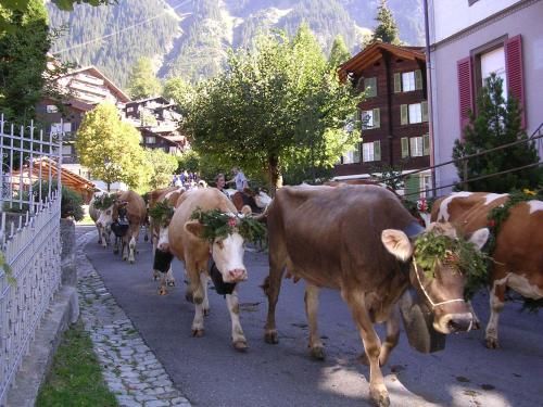 Chalet Acheregg - image 6