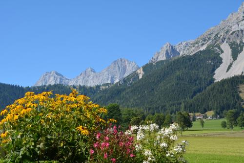 Forsterhof, Ramsau am Dachstein (fotografie 8)