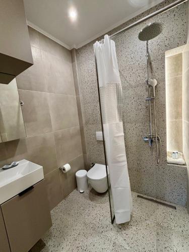 دش, Downtown Studio A1Γ in كوموتينى