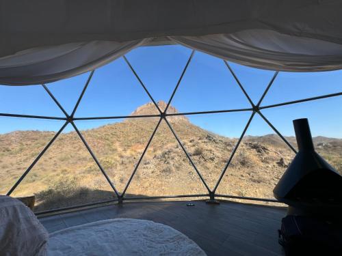 Stargazer- The Dome Life in แอนเทม