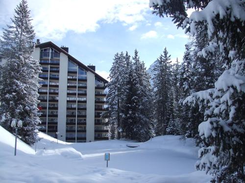 Rothornblick - Apartment - Arosa