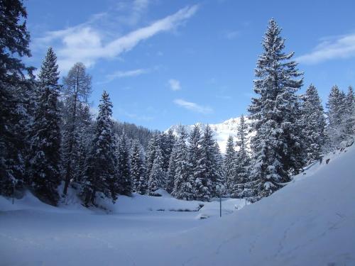  Rothornblick in Arosa