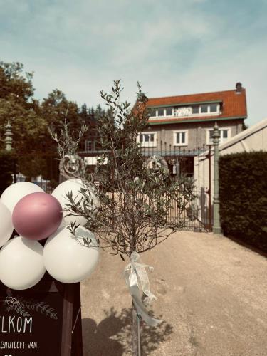 B&B 't Goed Leven