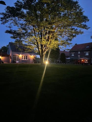 B&B 't Goed Leven - image 12