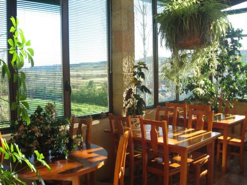 Hotel La Pradera - image 10