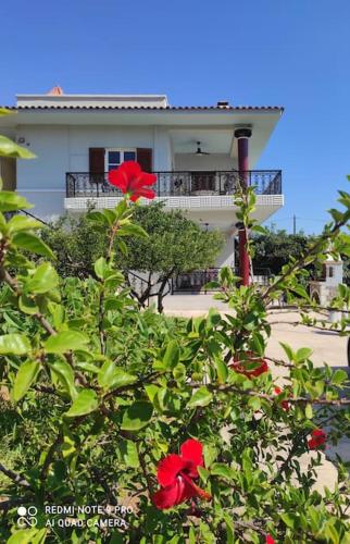 Diktynna Villa in Itanos