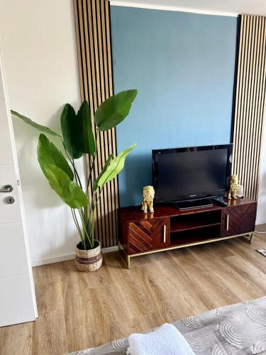 Apartment Cologne City, Kolín nad Rýnem (fotografie 7)